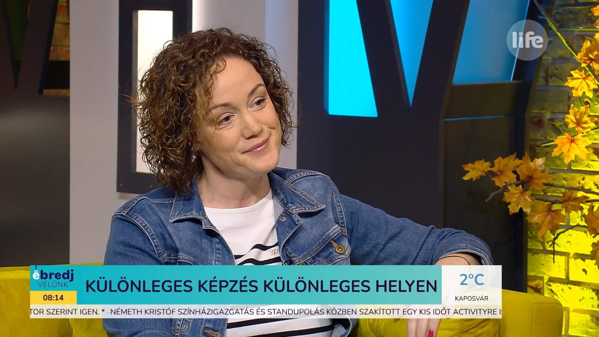 LifeTV sajtómegjelenés Varga Petra iCan Solutions